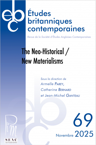 The Neo-Historical / New Materialisms